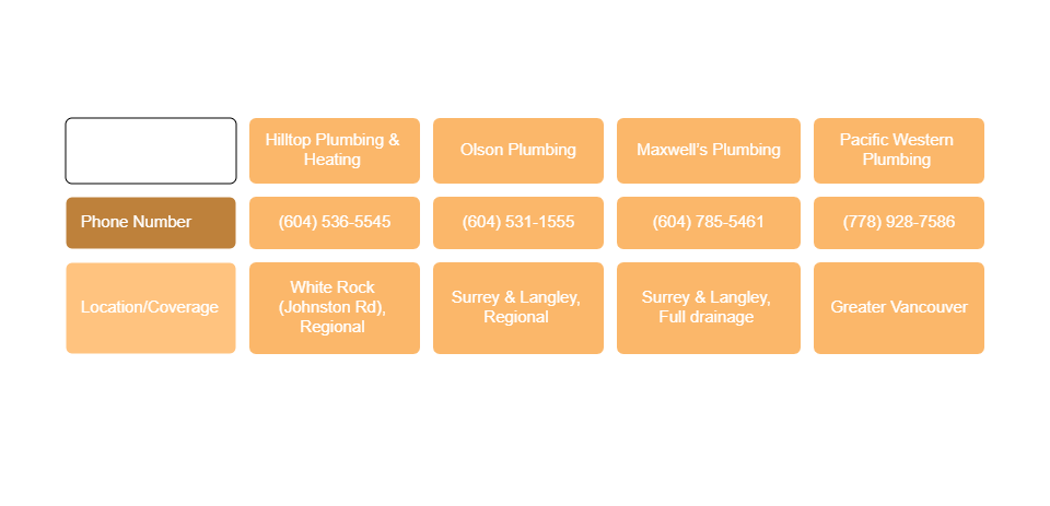 Plumbing Services In and Near White Rock Infographic White Rock BC Best Plumbers Local Reviews Plumbing Services In and Near White Rock Infographic