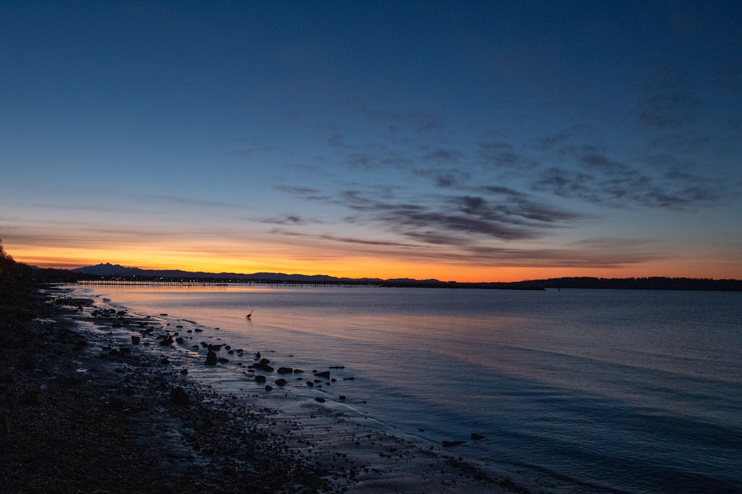 collection-02 body of water uxg p9bzz1w White Rock Local