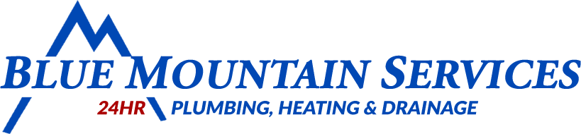 BMS Web Logo Blue Mountain Services Ltd.