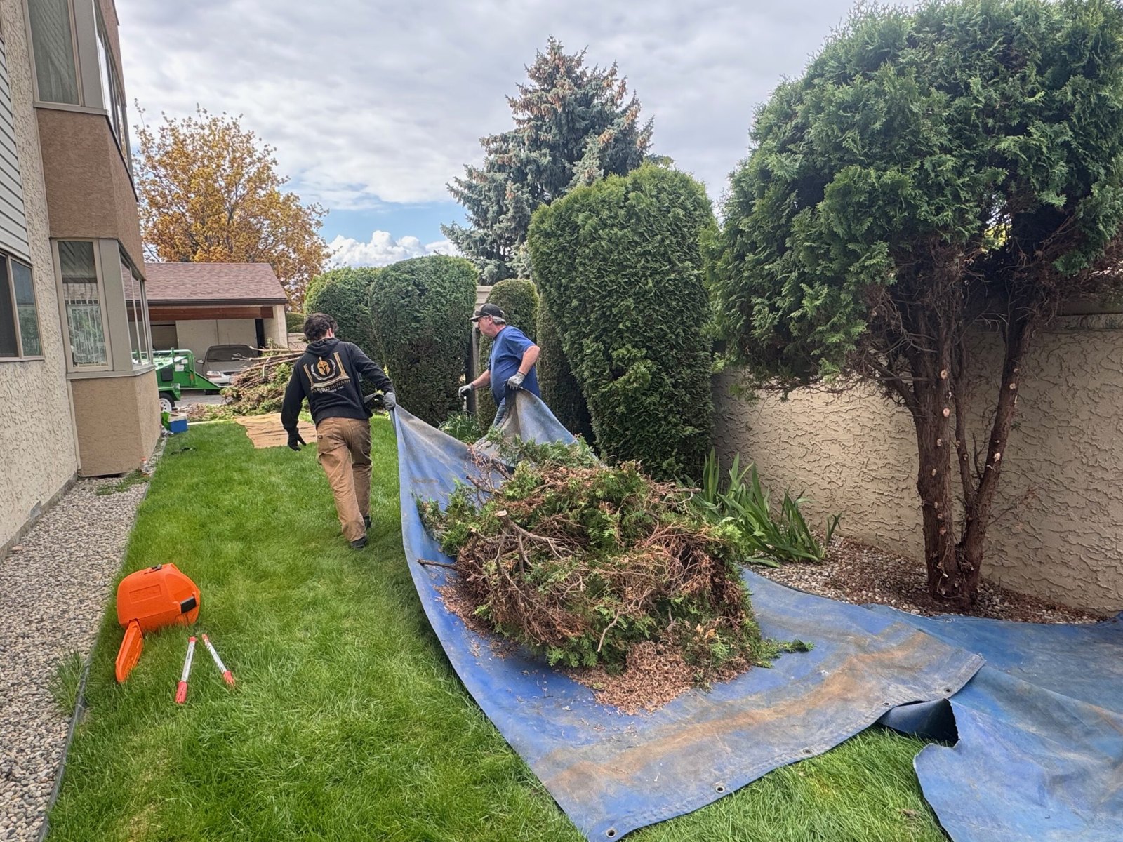 ct interior white rock CutTree.Co CutTree.Co Kelowna pruning and tree care work