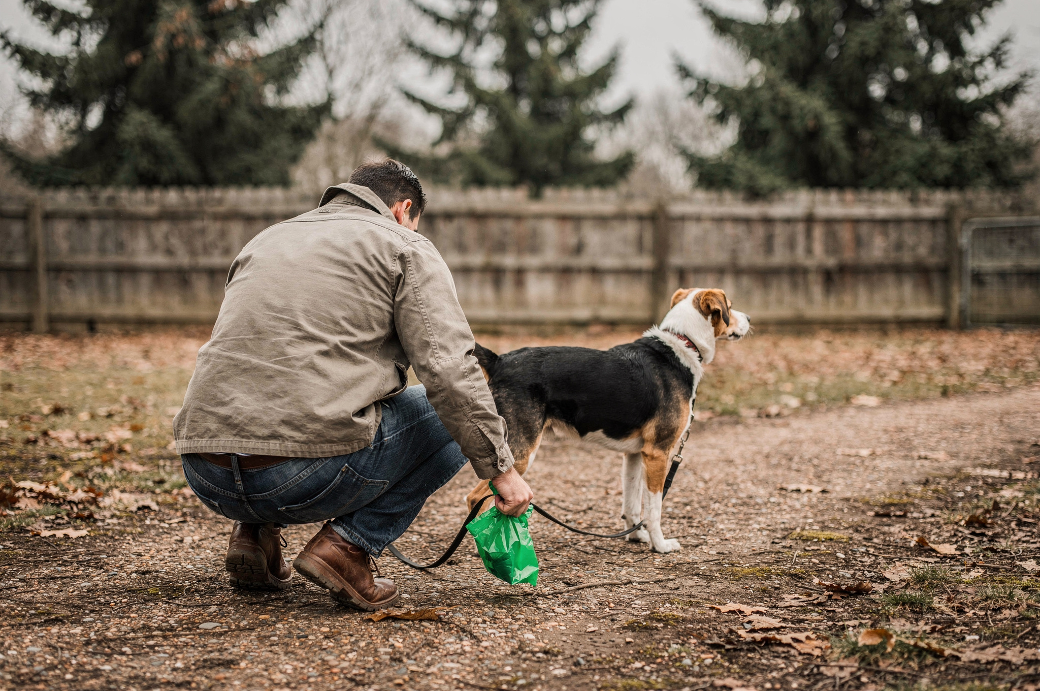 leashed licensed clean up
