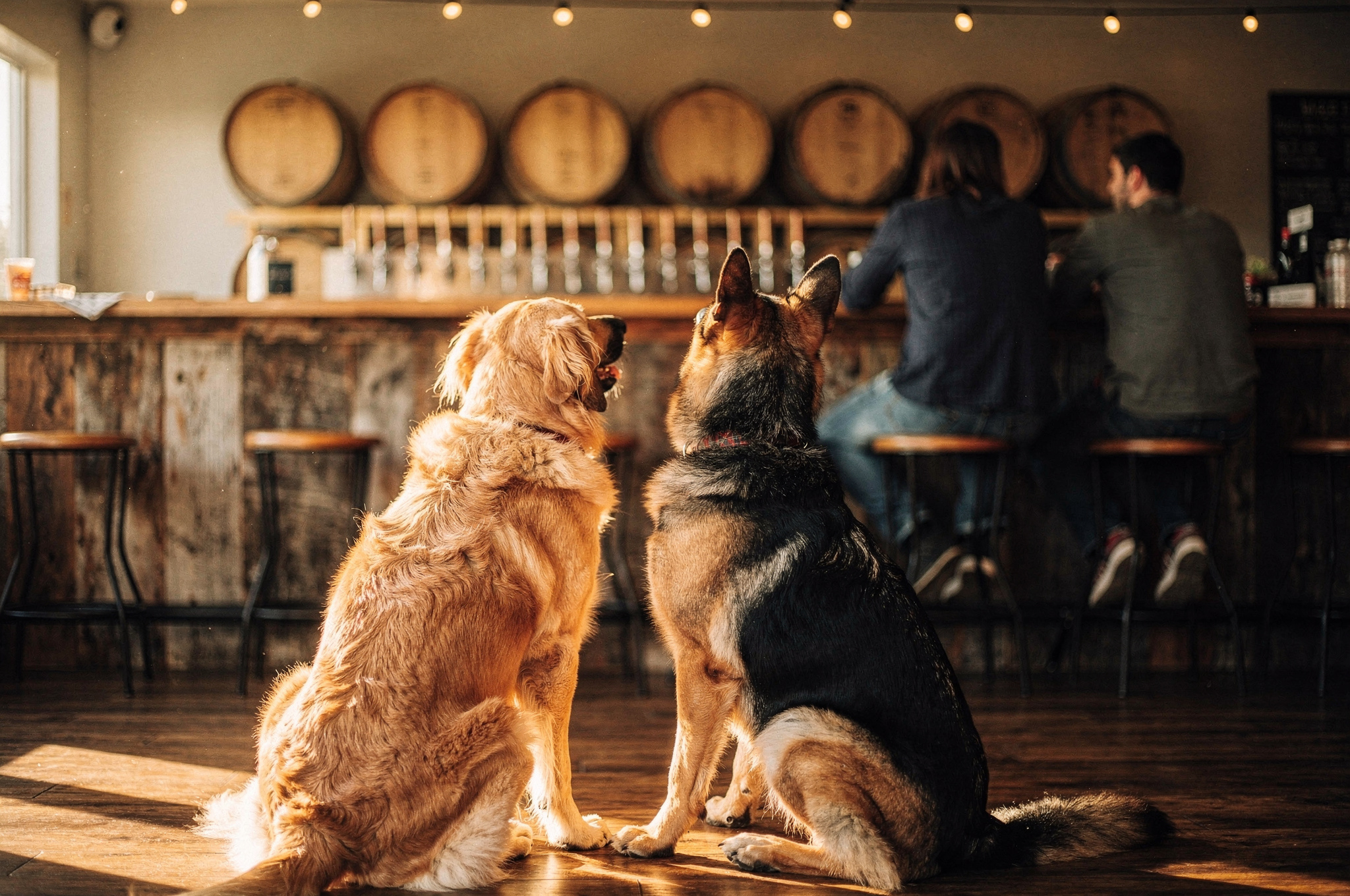 community focused craft brewery v2 1 Top White Rock BC Craft Breweries dogs and patrons at a community craft brewery taproom