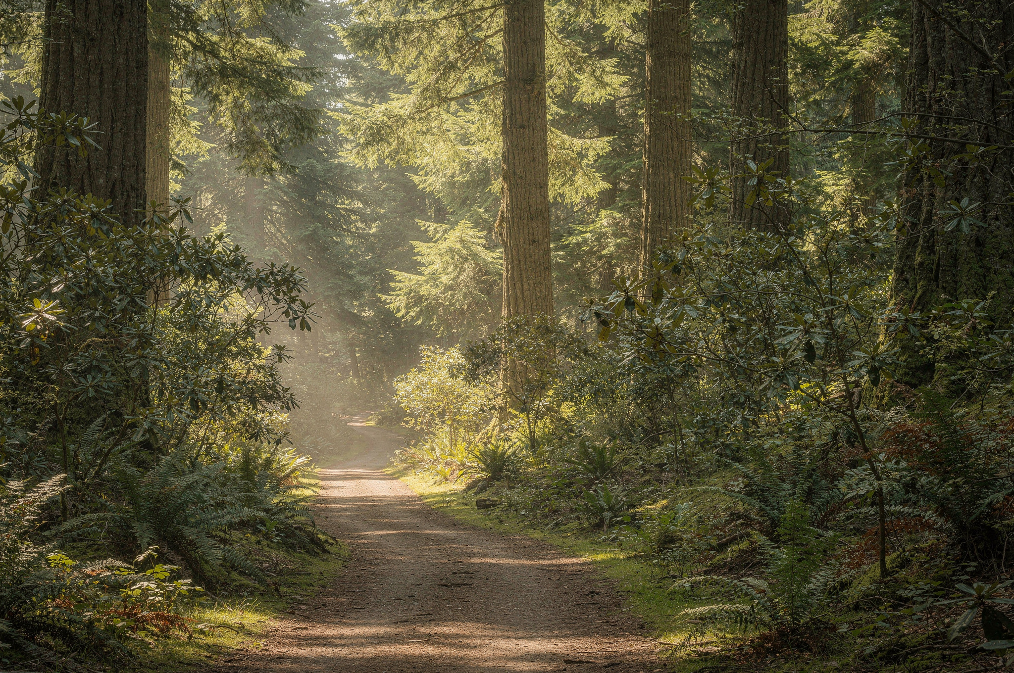 hidden trails and scenic escapes