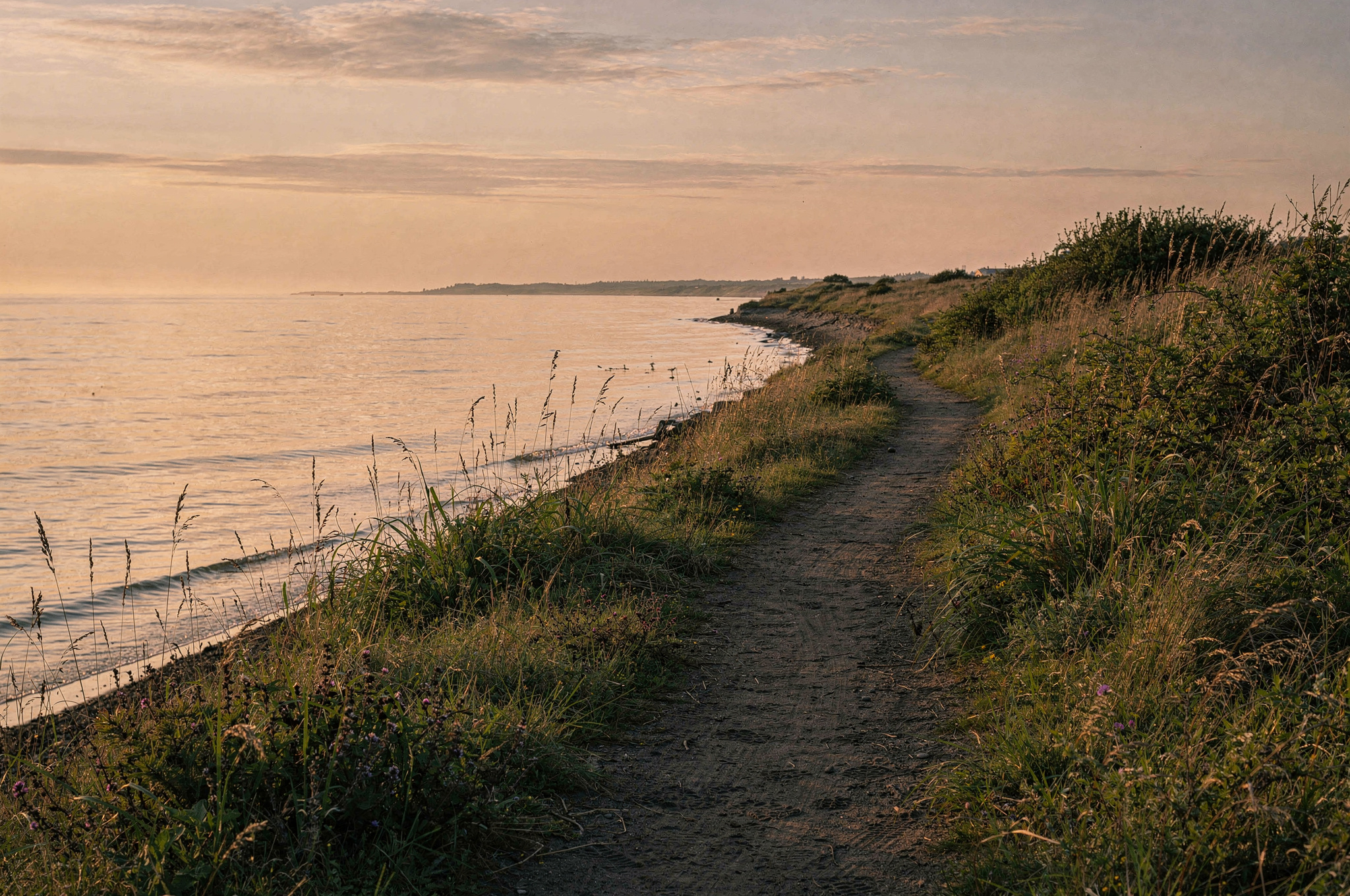 nature trail along coastal spit