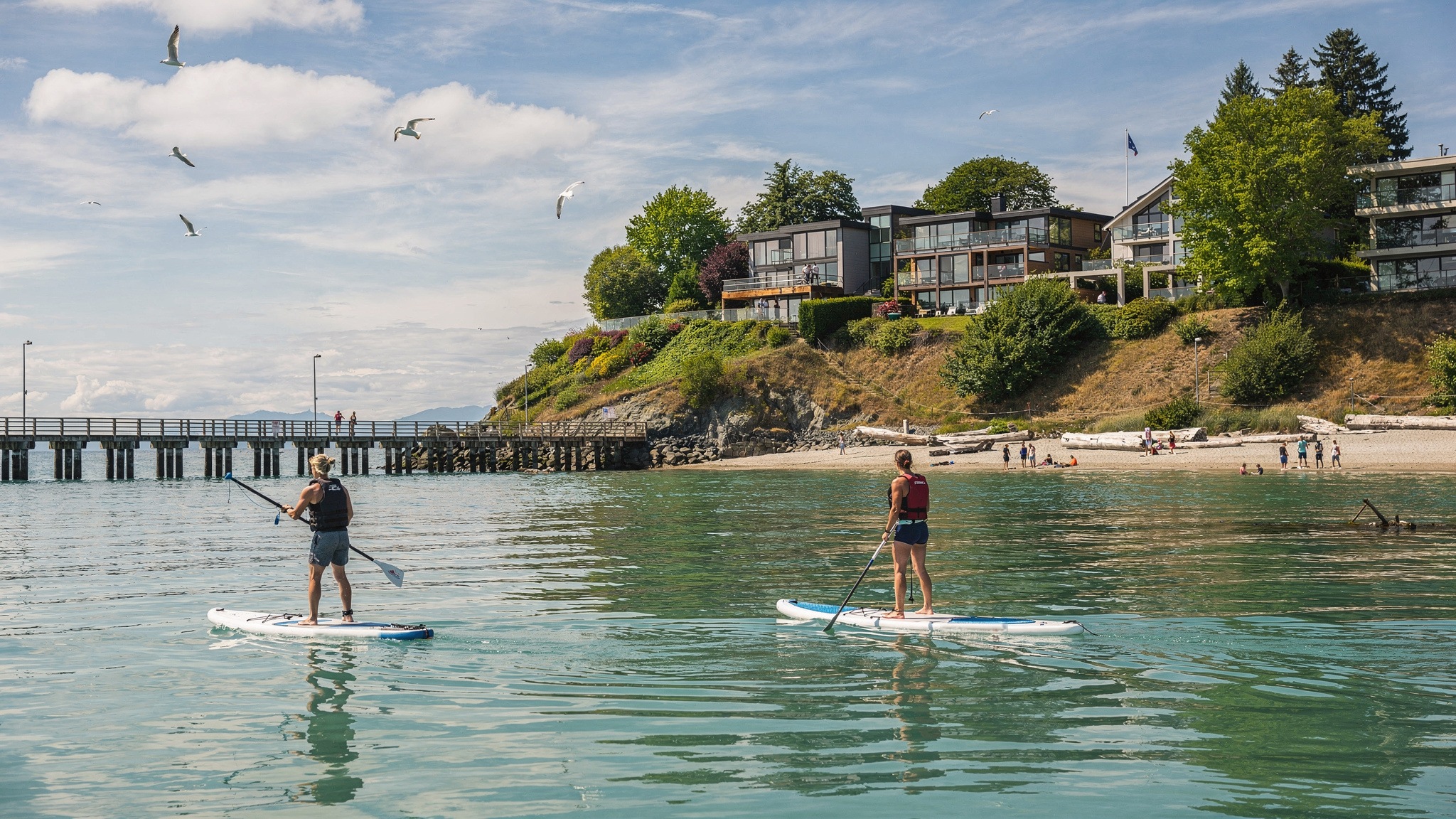paddle water v2 Best Nature Trails and Walks Around White Rock BC Two paddleboarders seen from behind on calm water off White Rock, with waterfront homes on the bluff and a pier in the background