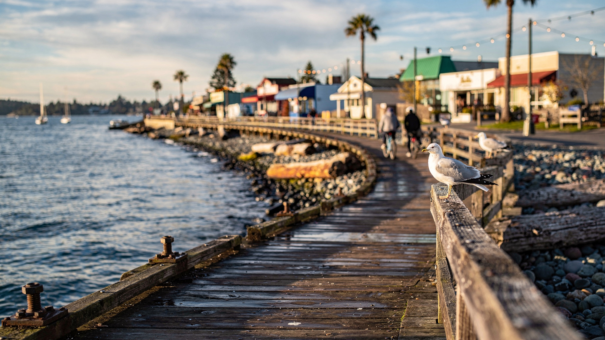 The White Rock waterfront promenade curving along the beach with the pier in the distance