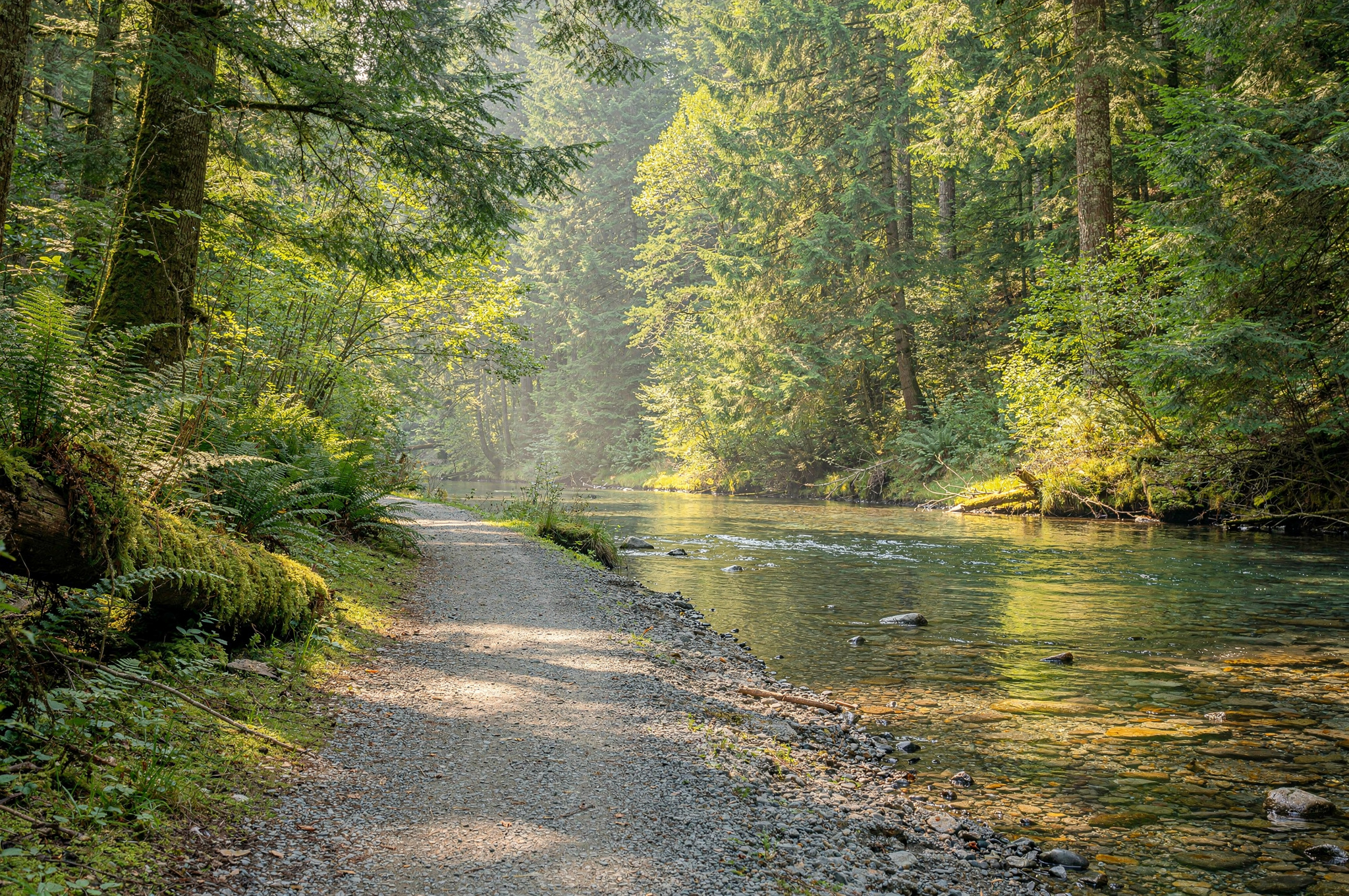 quiet scenic running path