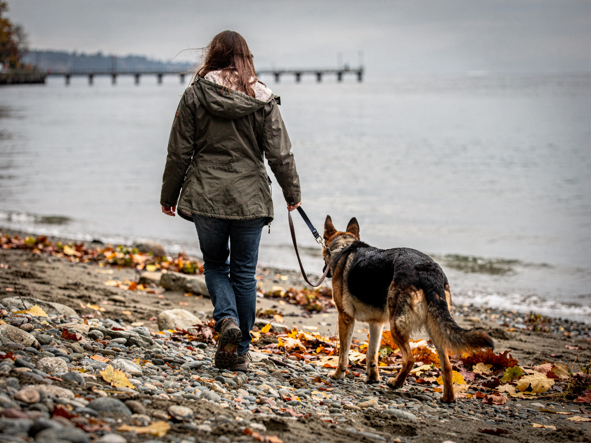 seasonal dog walking guidelines