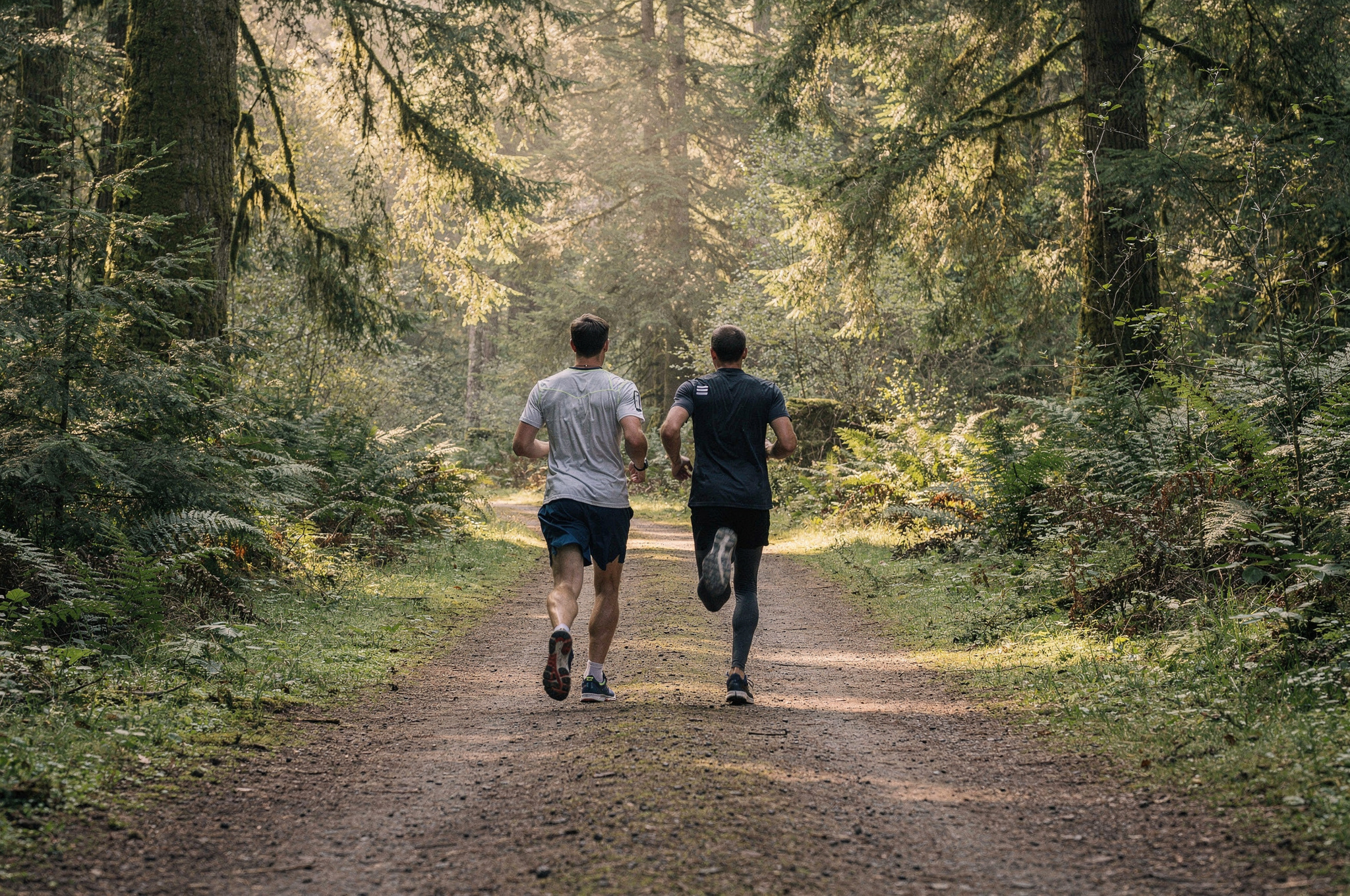 Two joggers run along a sun-dappled dirt path in Sunnyside Acres Urban Forest, surrounded by tall cedars and ferns.